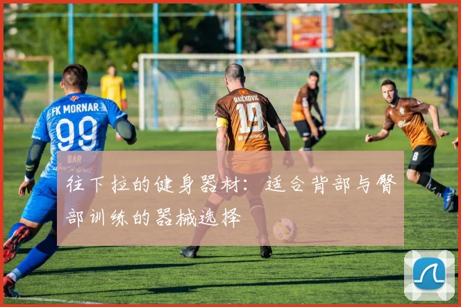 往下拉的健身器材：适合背部与臀部训练的器械选择