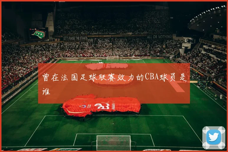 曾在法国足球联赛效力的CBA球员是谁